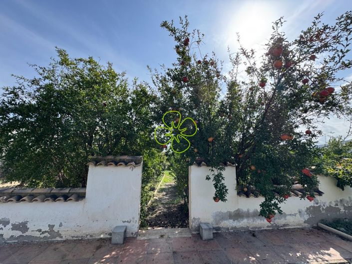 Image No.24-5 Bed Cortijo for sale