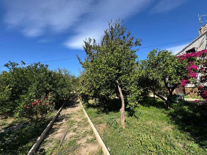 Image No.25-5 Bed Cortijo for sale