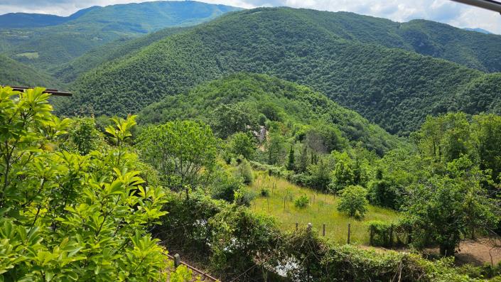 Image No.8-5 Bed Farmhouse for sale