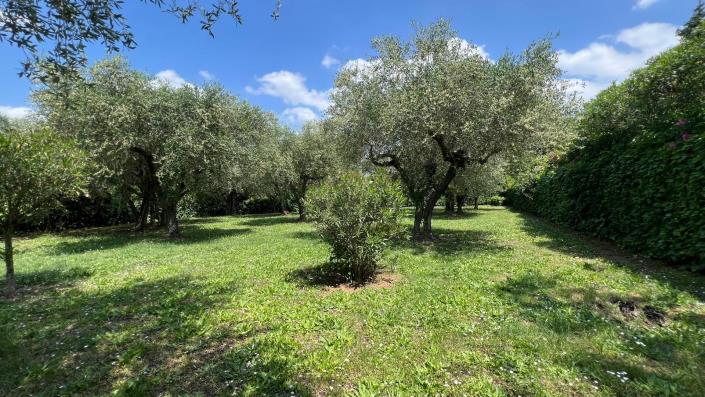 Image No.25-4 Bed Village House for sale