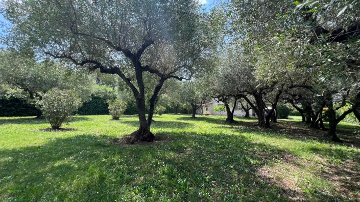 Image No.7-4 Bed Village House for sale