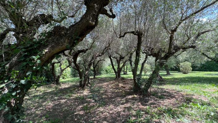 Image No.15-4 Bed Village House for sale