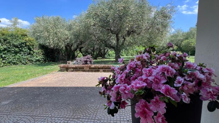 Image No.8-4 Bed Village House for sale