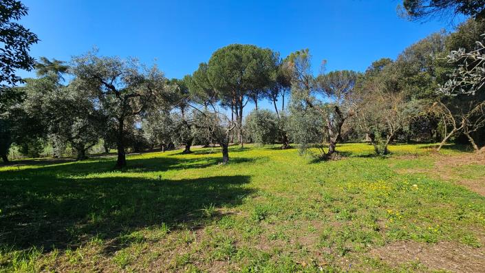 Image No.28-5 Bed Villa for sale