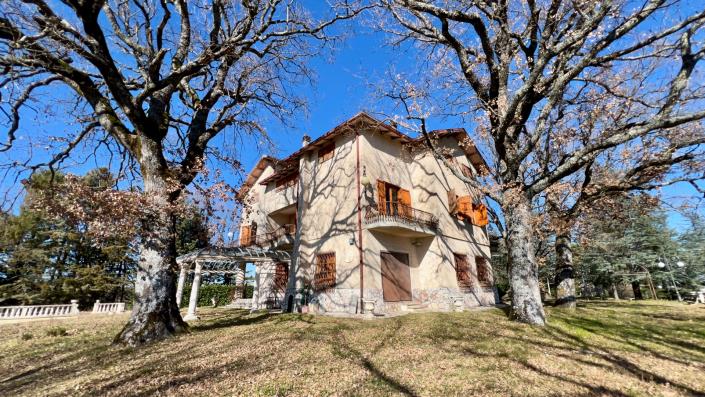 Image No.6-8 Bed Mansion for sale