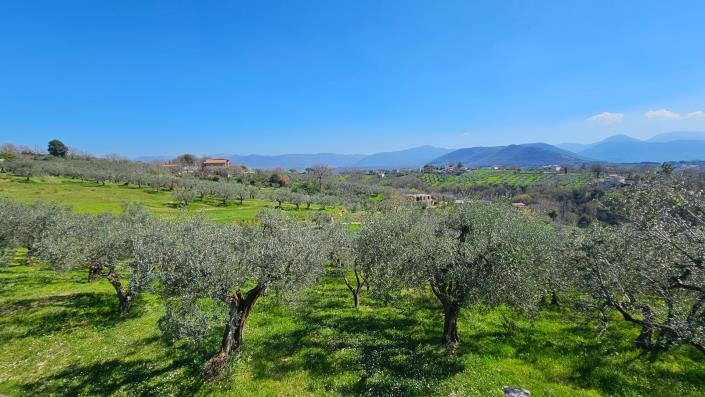 Image No.14-4 Bed Country House for sale