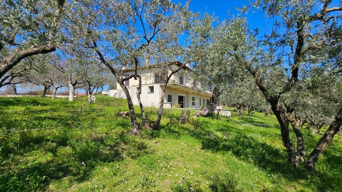 Image No.4-4 Bed Country House for sale