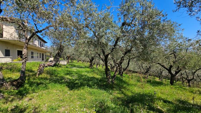 Image No.6-4 Bed Country House for sale