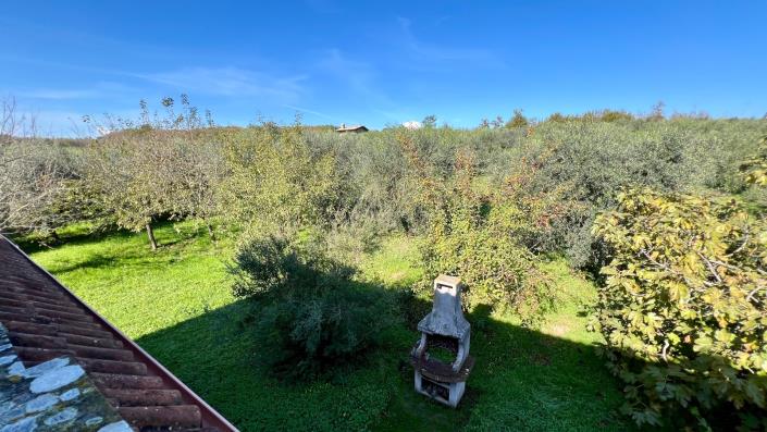 Image No.19-4 Bed Country House for sale