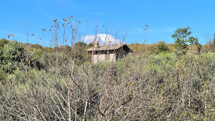 Image No.22-4 Bed Country House for sale