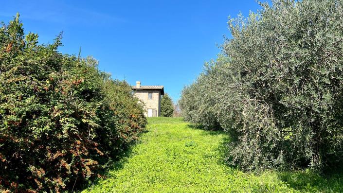 Image No.30-4 Bed Country House for sale