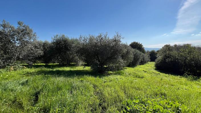 Image No.27-4 Bed Country House for sale