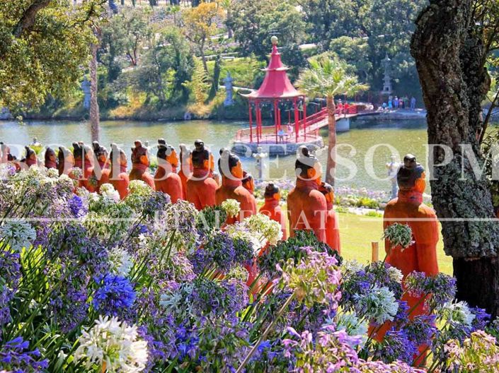 Image No.34-4 Bed House for sale