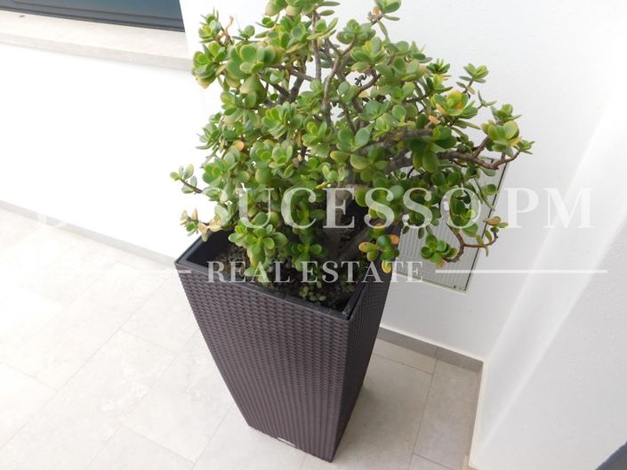 Image No.37-4 Bed House for sale