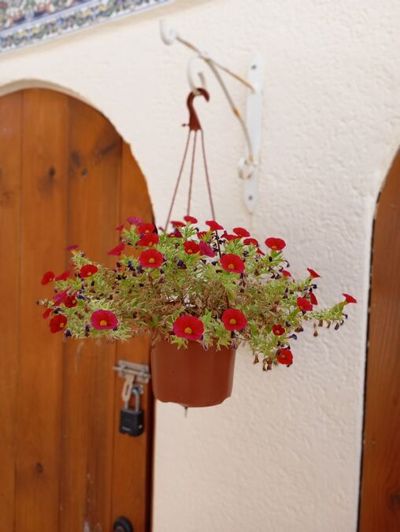 Image No.12-Villa de 3 chambres à vendre à Villamartin