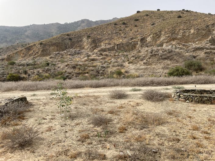 Image No.30-6 Bed Country House for sale