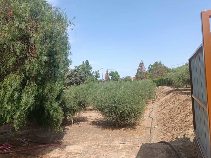 Image No.3-3 Bed Country House for sale