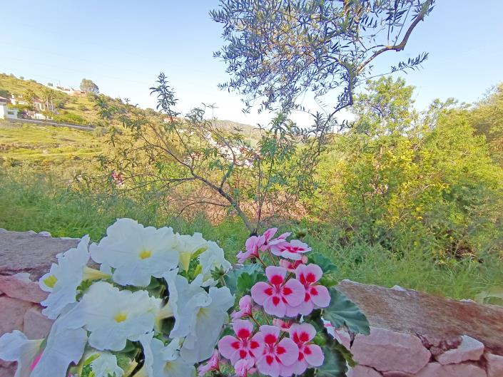 Image No.28-3 Bed Villa for sale