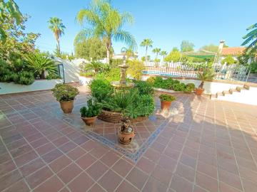 IMG_20240906_174259