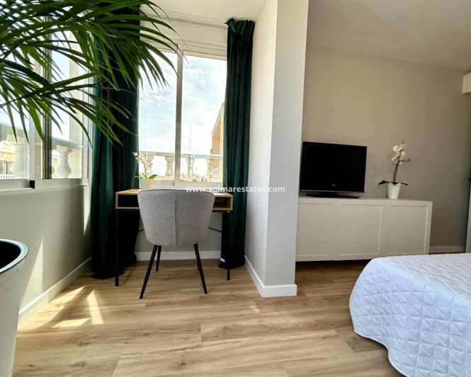 Image No.16-3 Bed Quad for sale