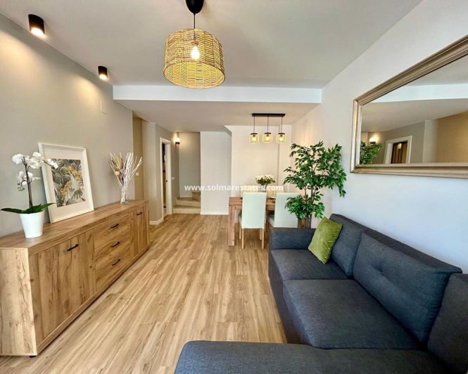 Image No.7-3 Bed Quad for sale