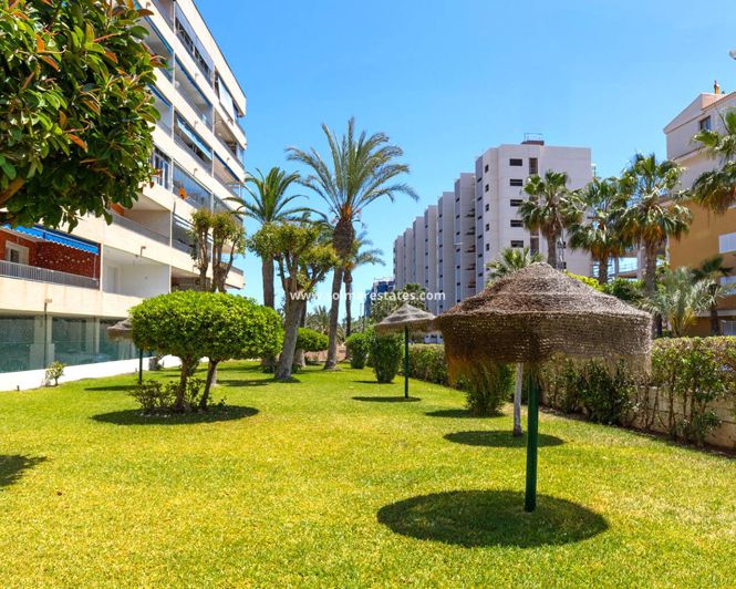 Image No.19-1 Bed Apartment for sale