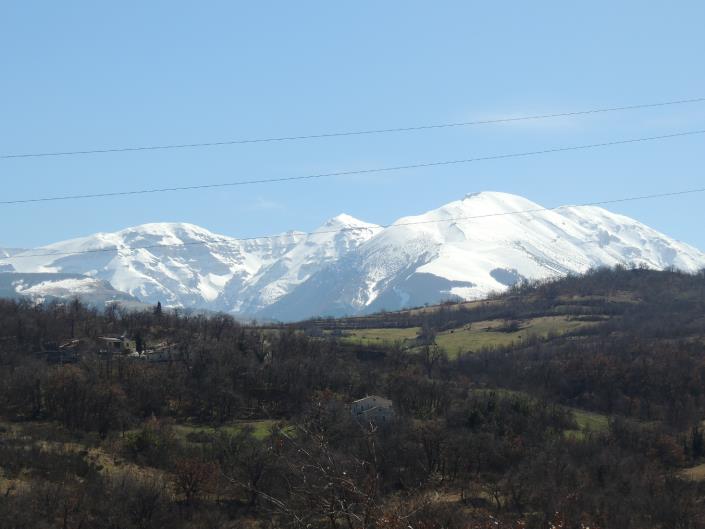 Image No.4-3 Bed Cottage for sale