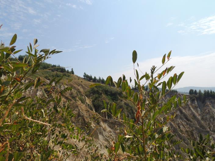 Image No.8-6 Bed Farmhouse for sale