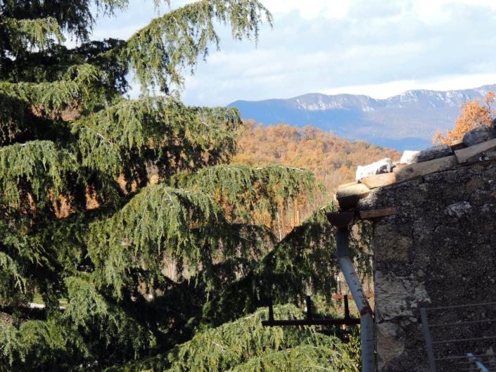 Image No.13-2 Bed Country House for sale