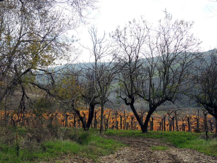 Image No.13-5 Bed House for sale