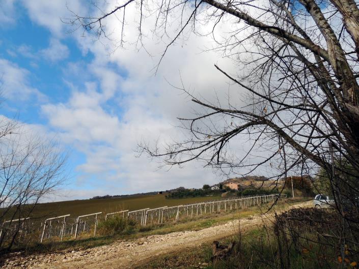 Image No.22-5 Bed House for sale