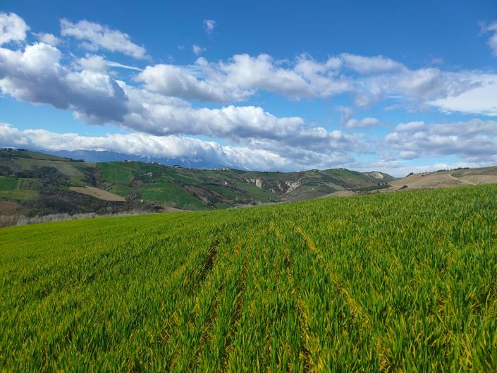 Image No.3-5 Bed House for sale