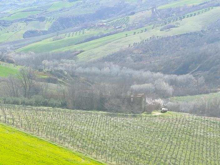 Image No.4-5 Bed House for sale