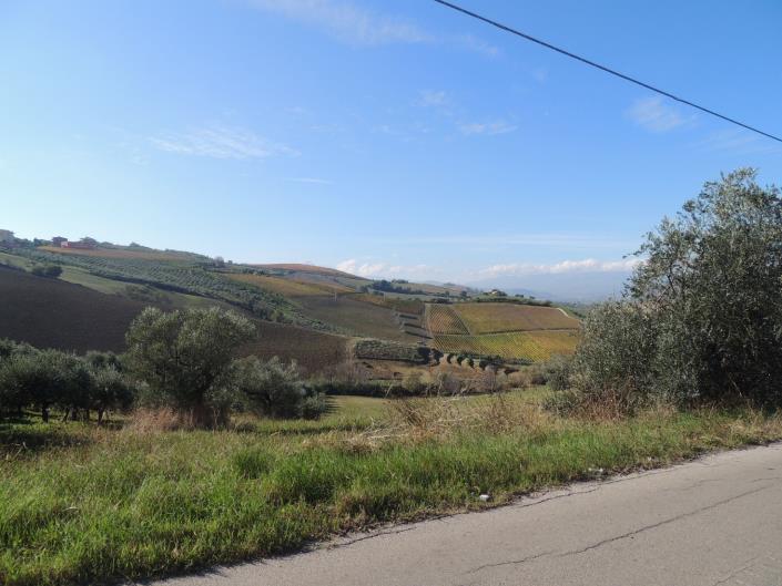 Image No.11-Land for sale