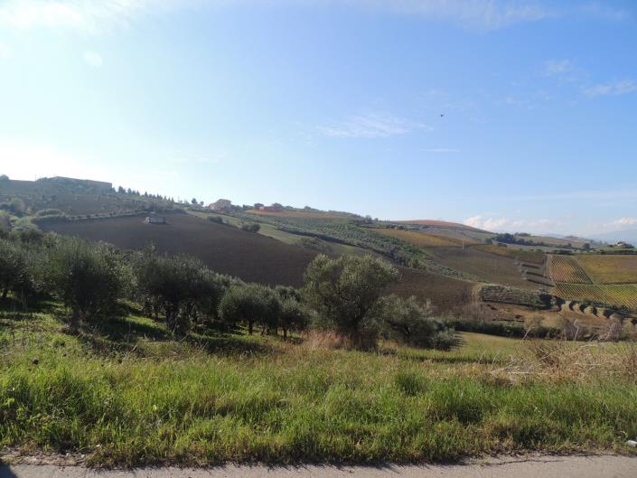 Image No.12-Land for sale