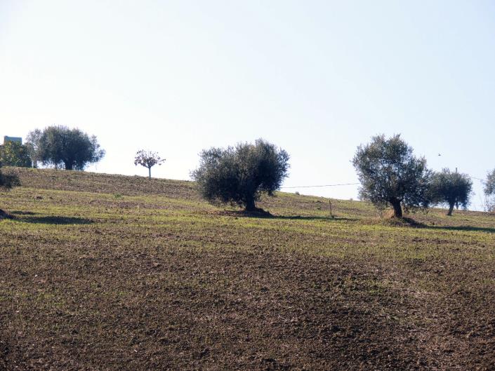 Image No.15-Land for sale