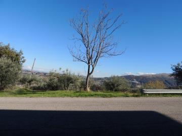 DSCN1102