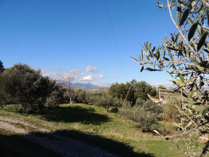 Image No.7-Land for sale