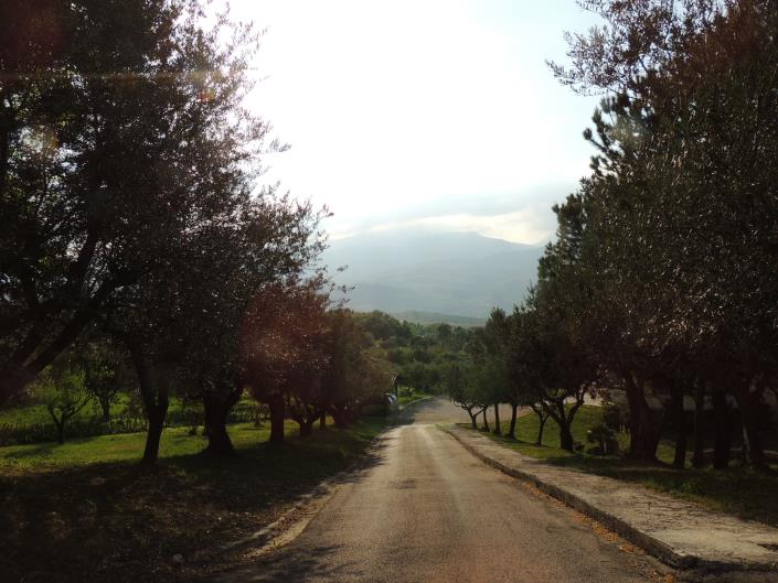 Image No.39-5 Bed Villa for sale