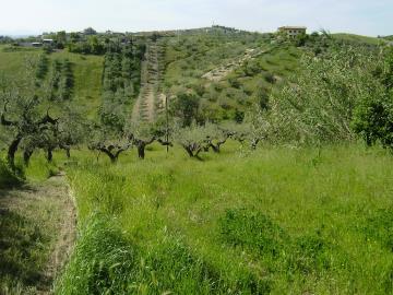 1 - Spoltore, Plot