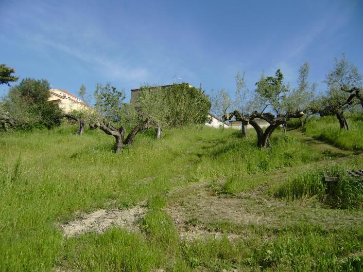 Image No.3-Plot for sale