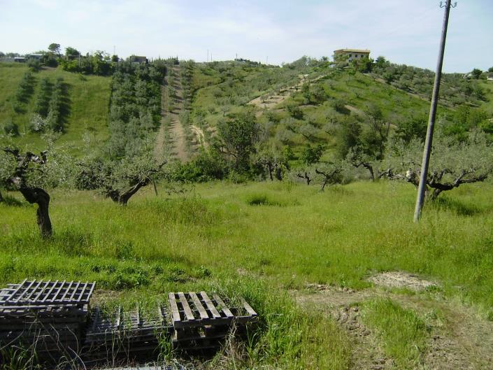 Image No.2-Plot for sale