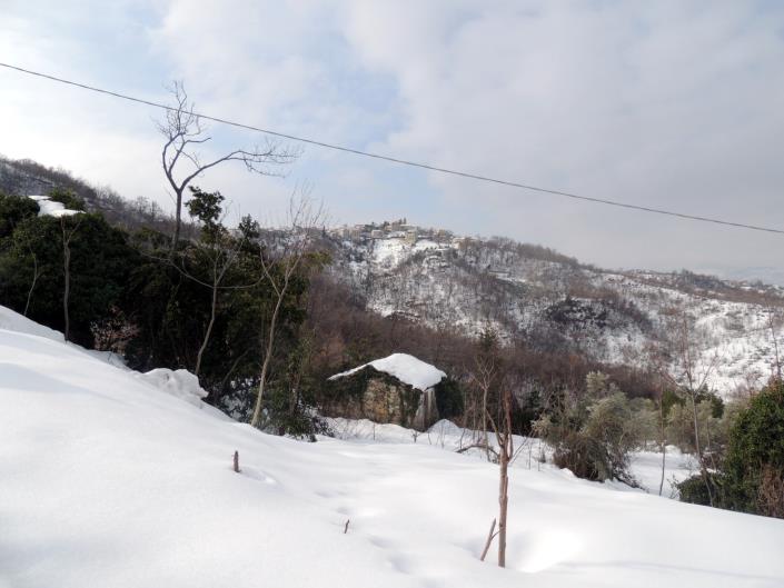 Image No.6-Land for sale