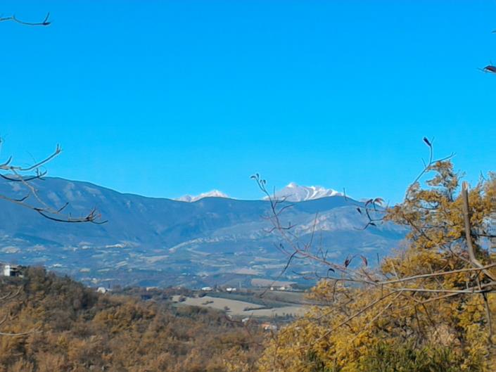 Image No.2-Land for sale