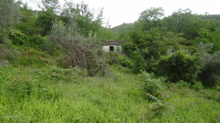 Image No.9-Land for sale