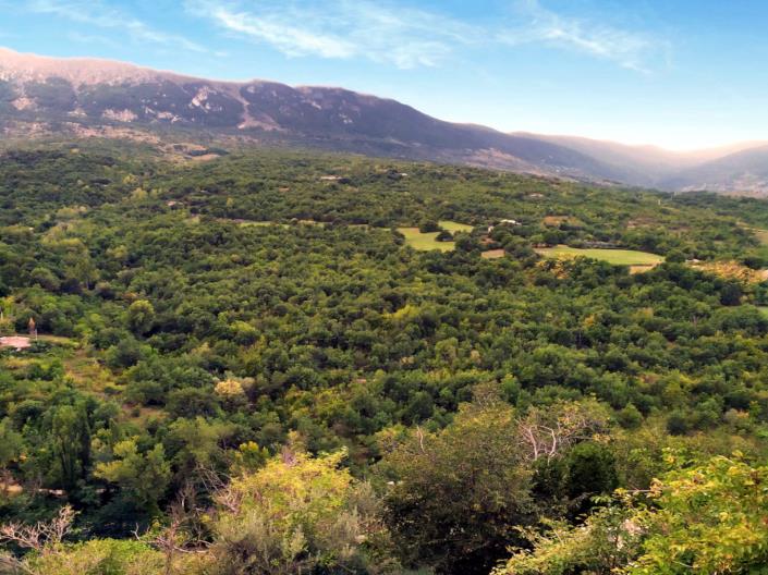 Image No.5-Country House for sale