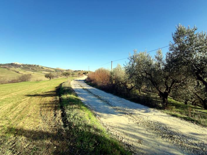 Image No.11-Land for sale