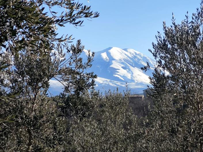 Image No.2-Land for sale