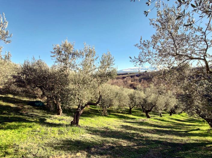 Image No.5-Land for sale