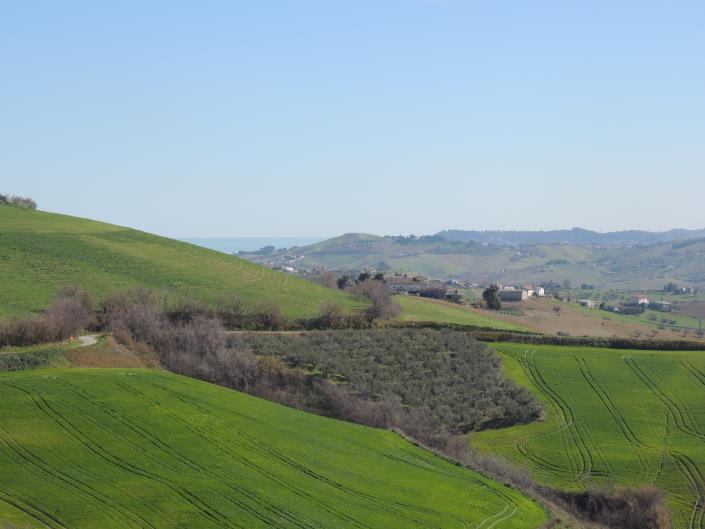 Image No.5-2 Bed Country House for sale